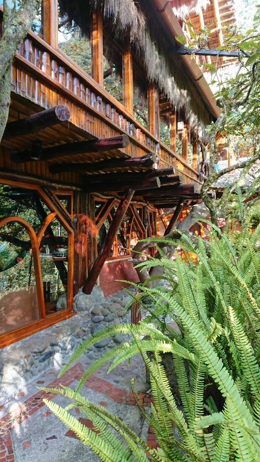 באניוס Finca Chamanapamba Guest House מראה חיצוני תמונה