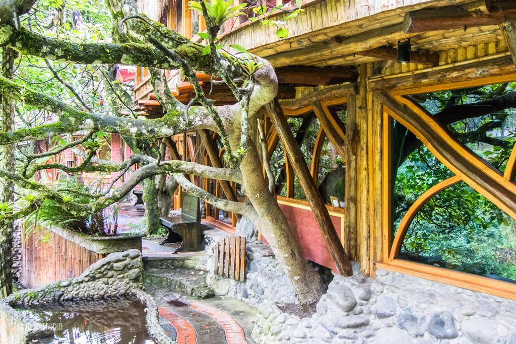 באניוס Finca Chamanapamba Guest House מראה חיצוני תמונה