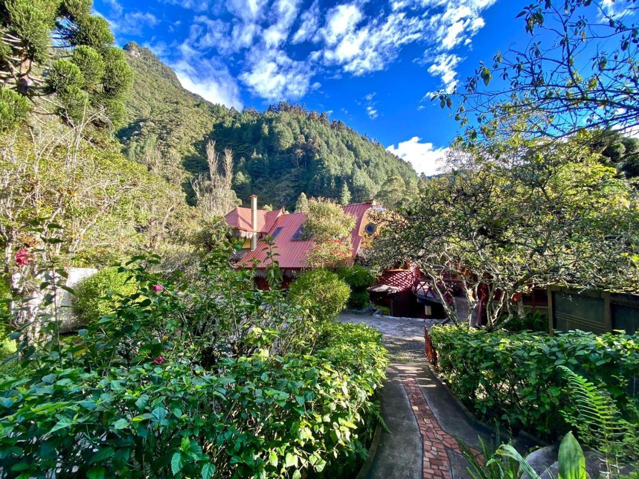 באניוס Finca Chamanapamba Guest House מראה חיצוני תמונה