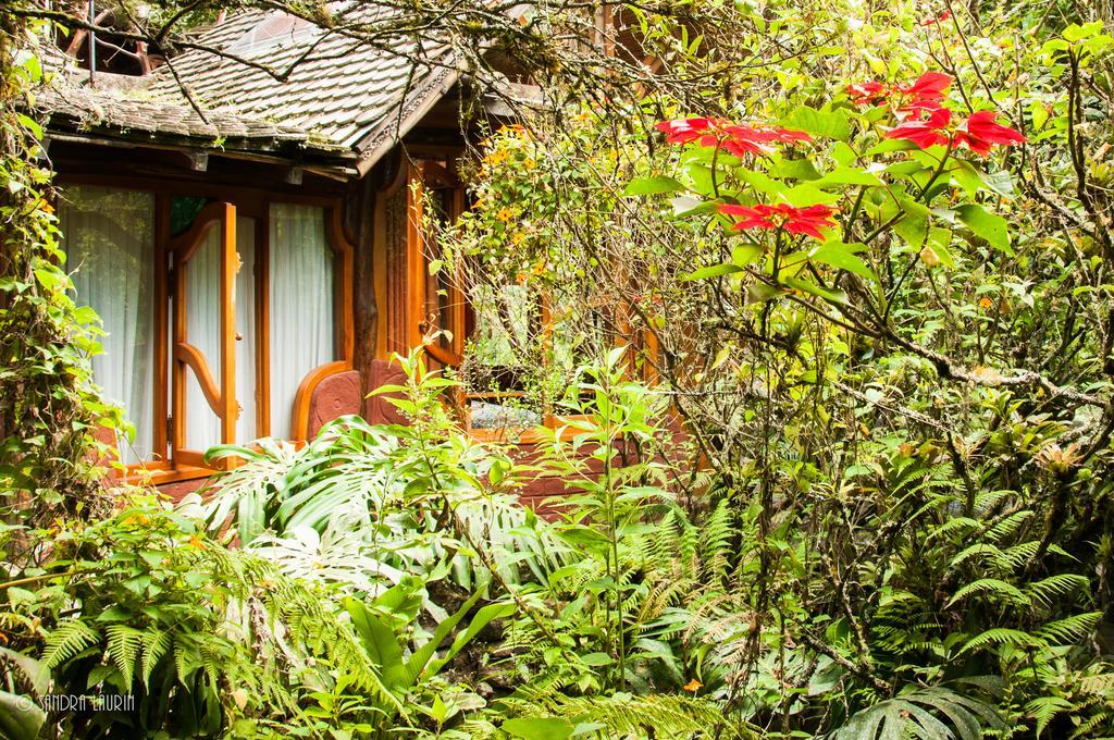 באניוס Finca Chamanapamba Guest House מראה חיצוני תמונה