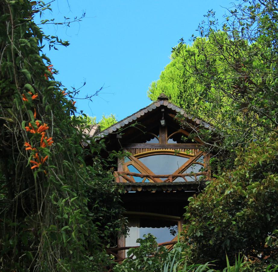 באניוס Finca Chamanapamba Guest House מראה חיצוני תמונה