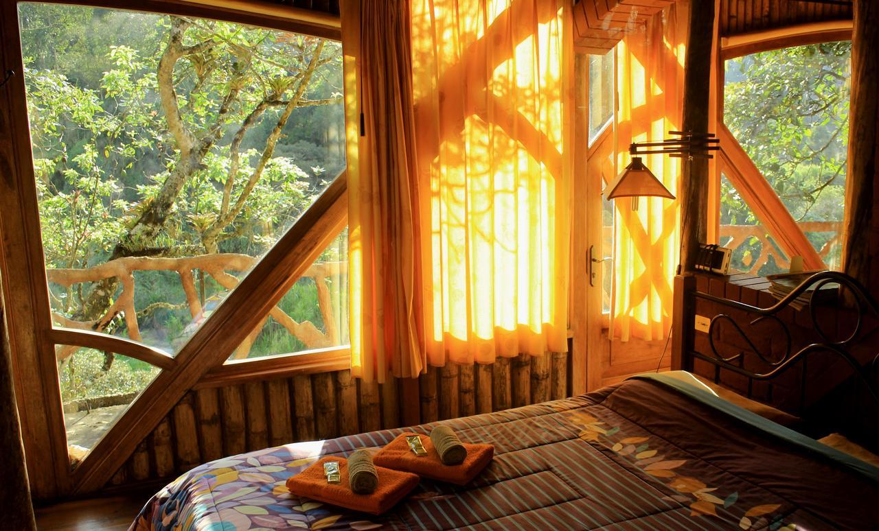 באניוס Finca Chamanapamba Guest House מראה חיצוני תמונה